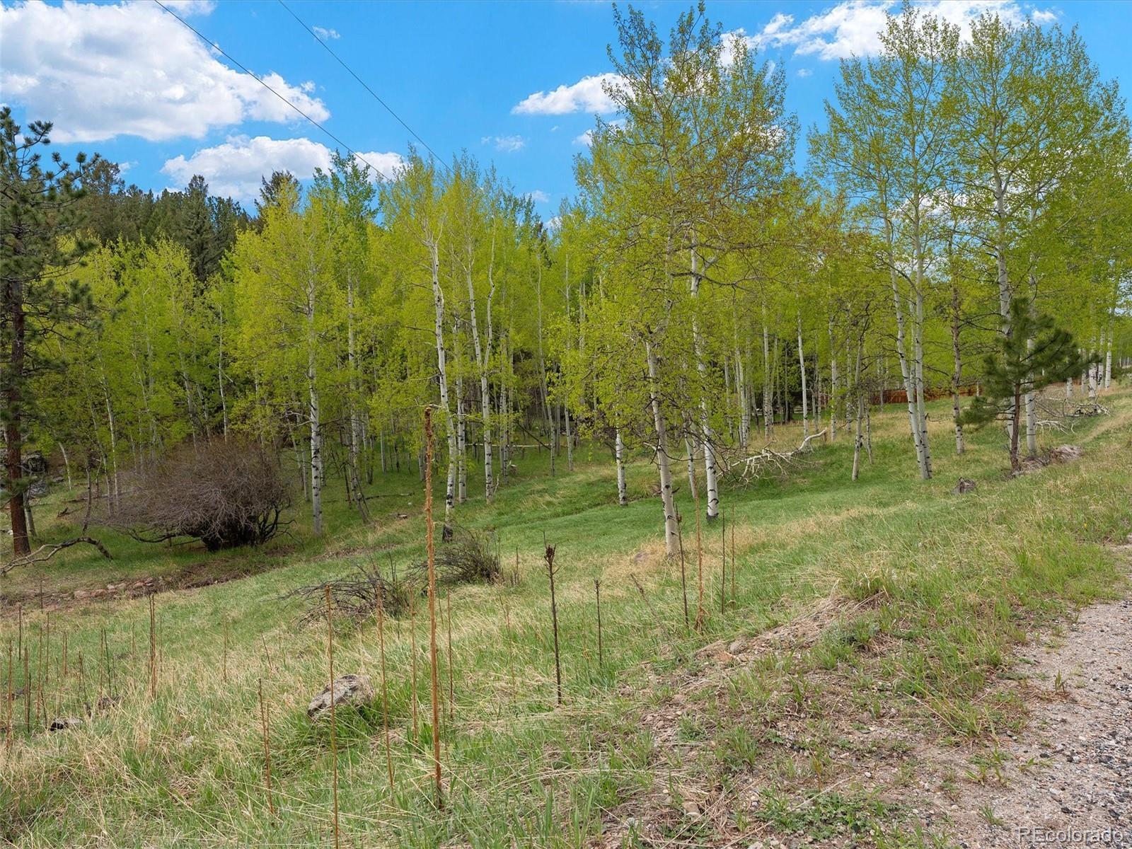 714 N Pine Drive Bailey CO 80421