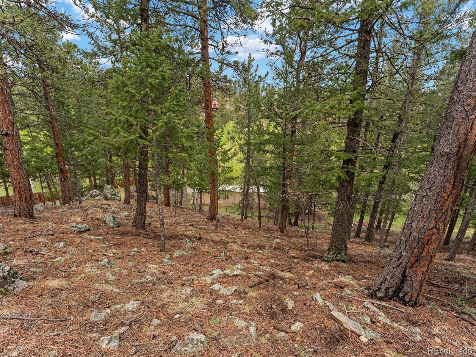 714 N Pine Drive Bailey CO 80421