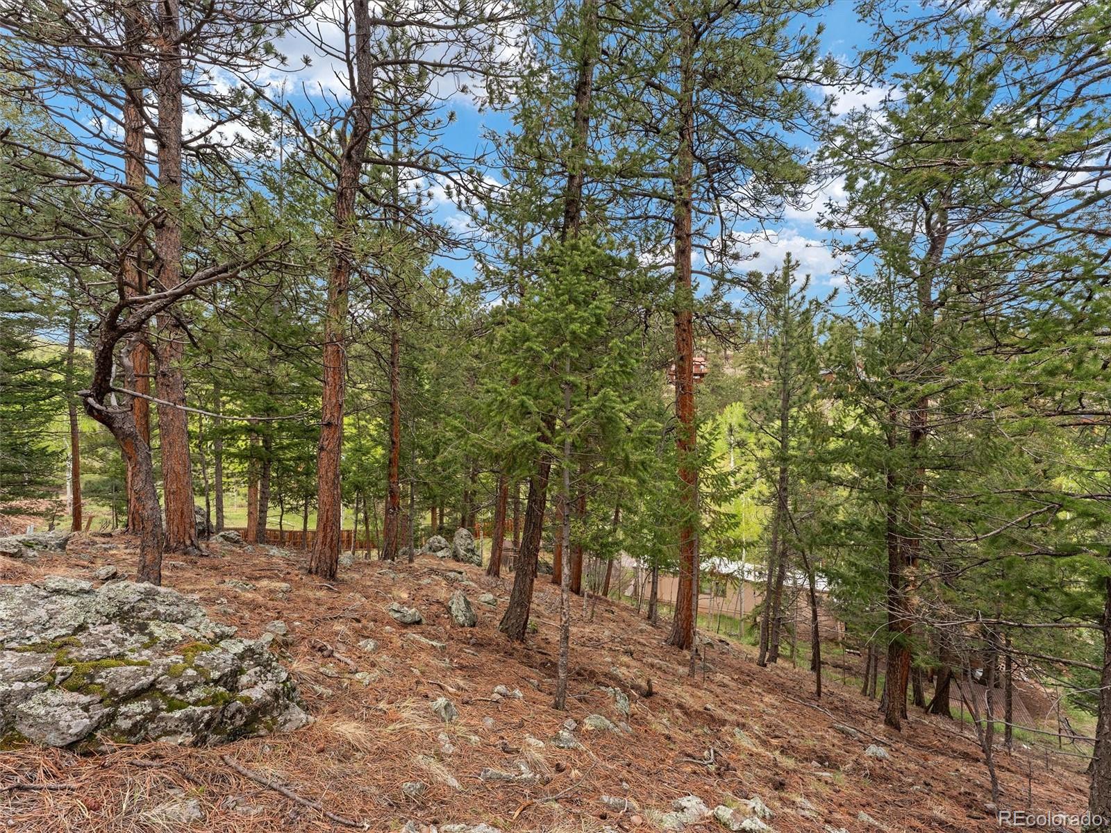 714 N Pine Drive Bailey CO 80421
