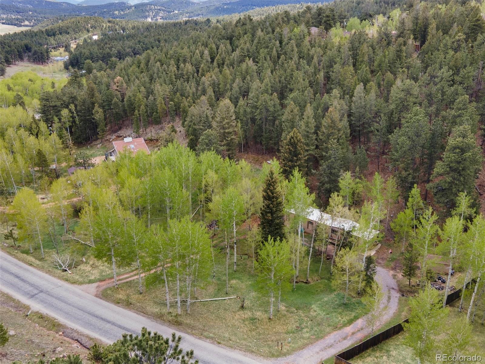 714 N Pine Drive Bailey CO 80421