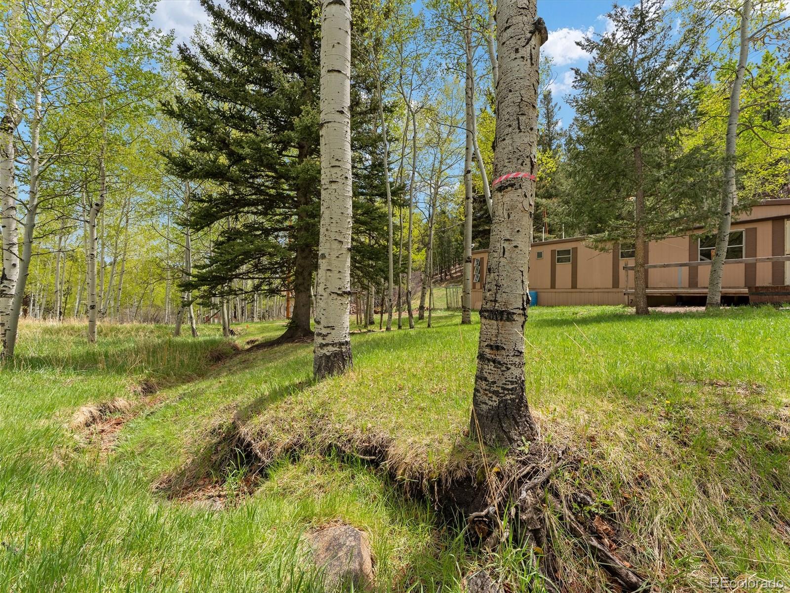 714 N Pine Drive Bailey CO 80421