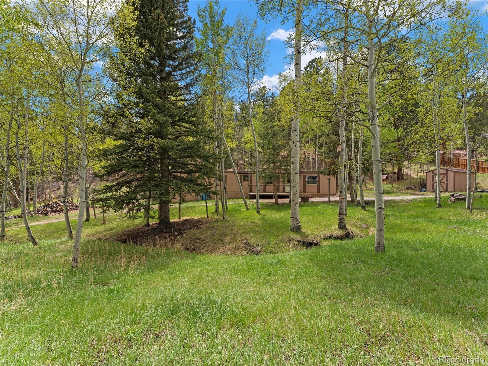 714 N Pine Drive Bailey CO 80421