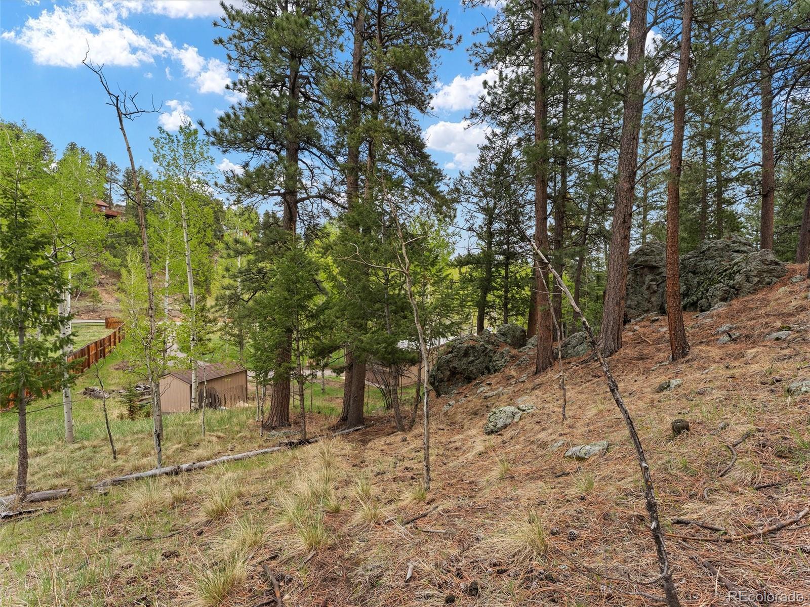 714 N Pine Drive Bailey CO 80421