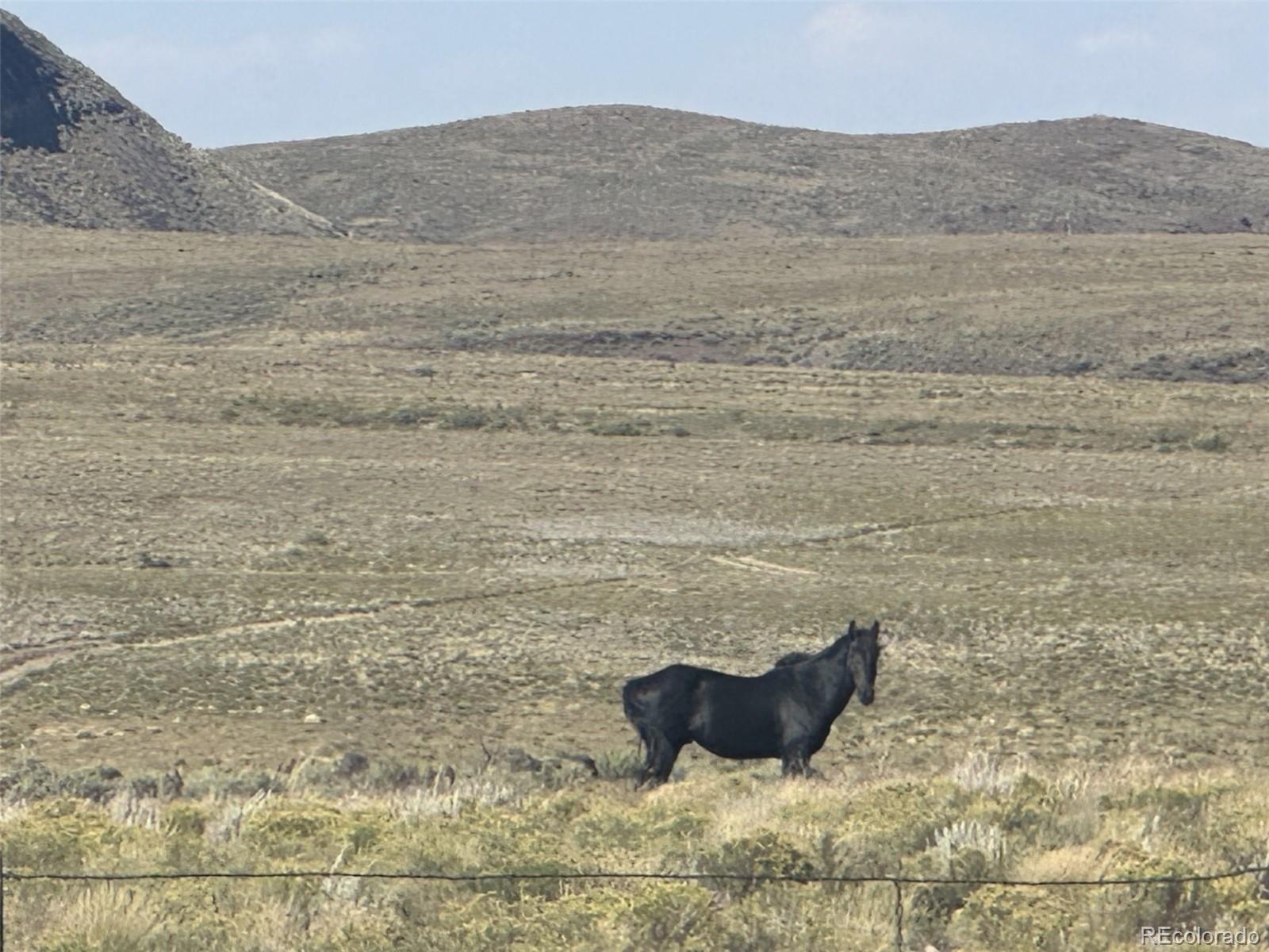 Lot 40 Mariposa San Luis CO 81152