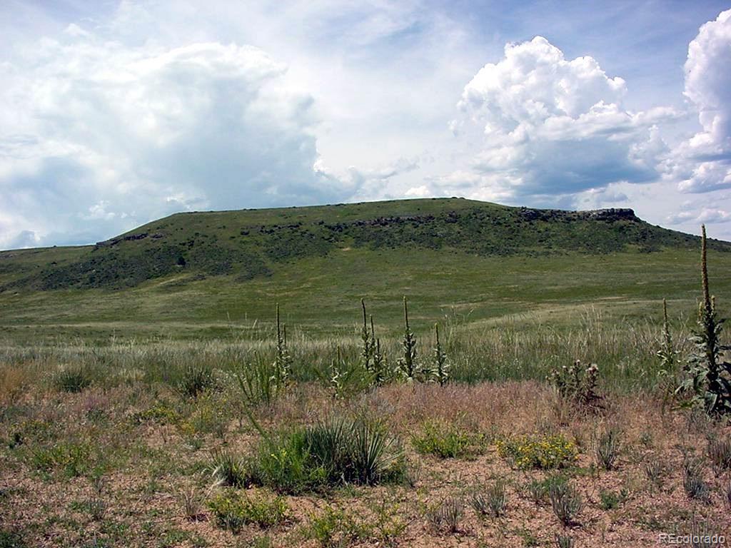 Lot 2 Twin Bluffs Road Larkspur CO 80118