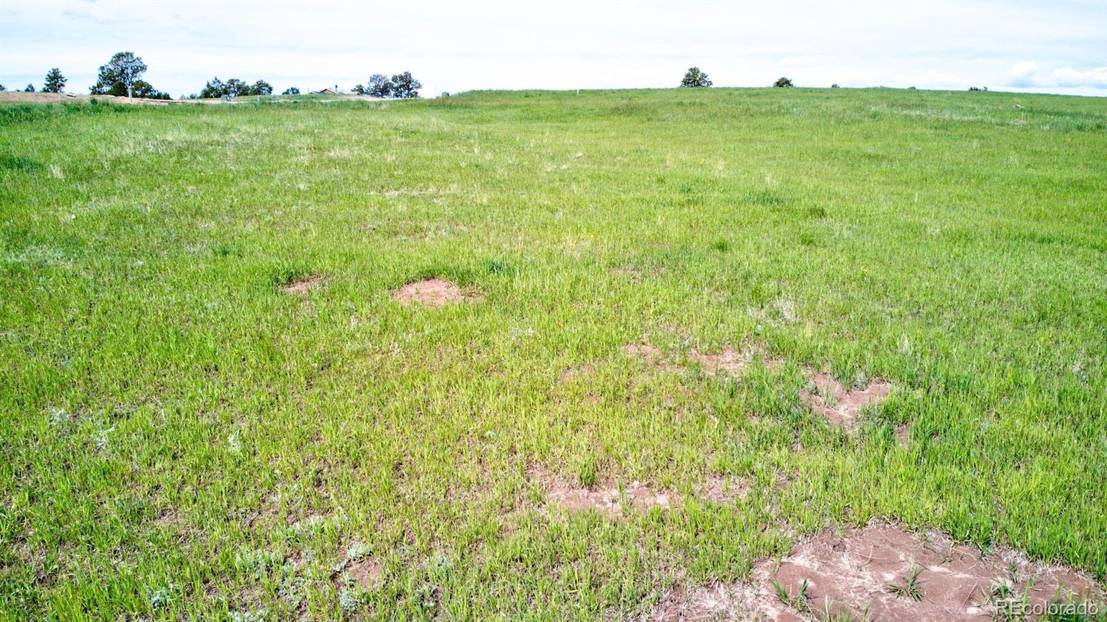 11856 Flap Jack Lane Colorado Springs CO 80908
