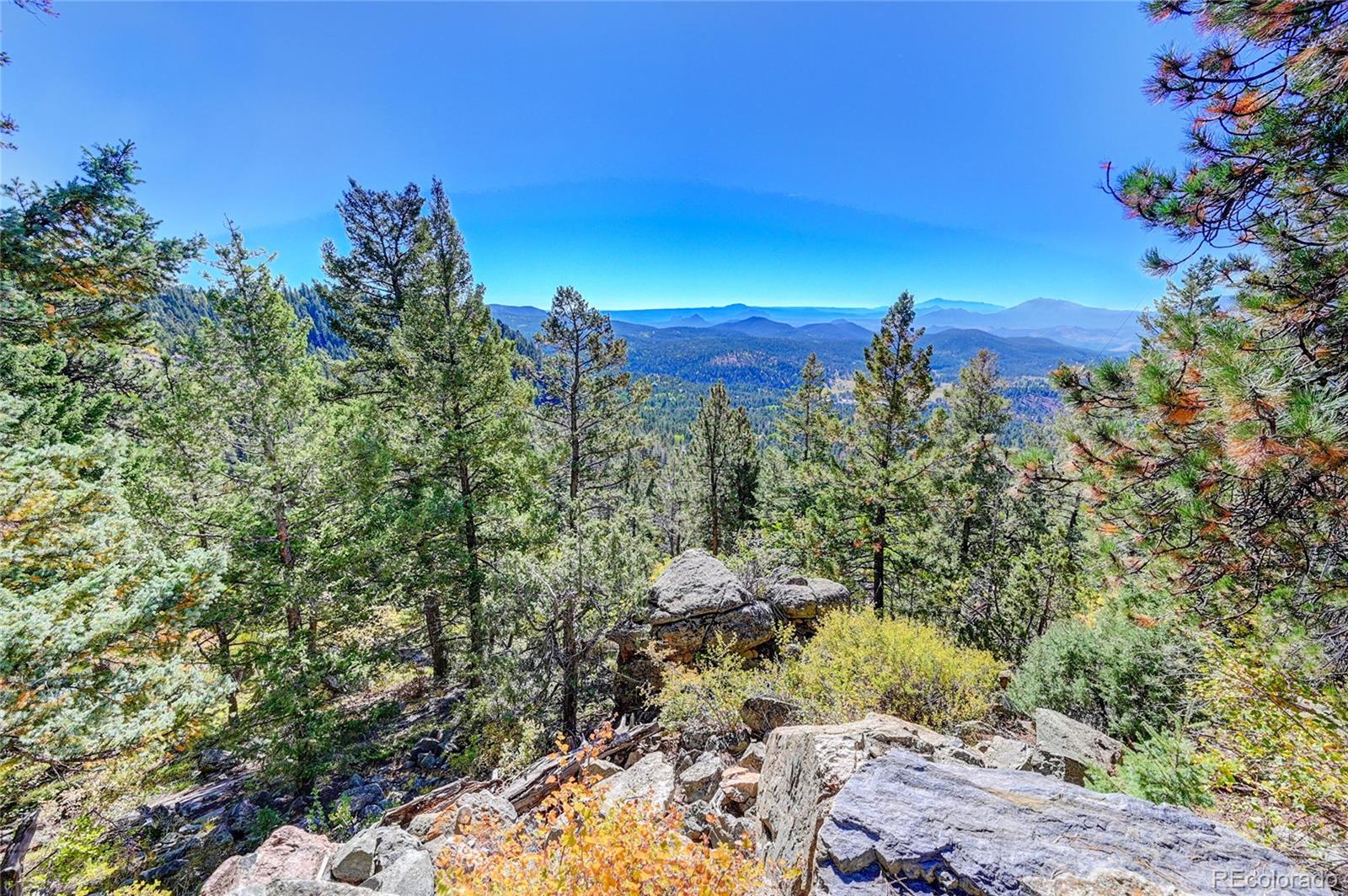 11723 Braun Way Conifer CO 80433