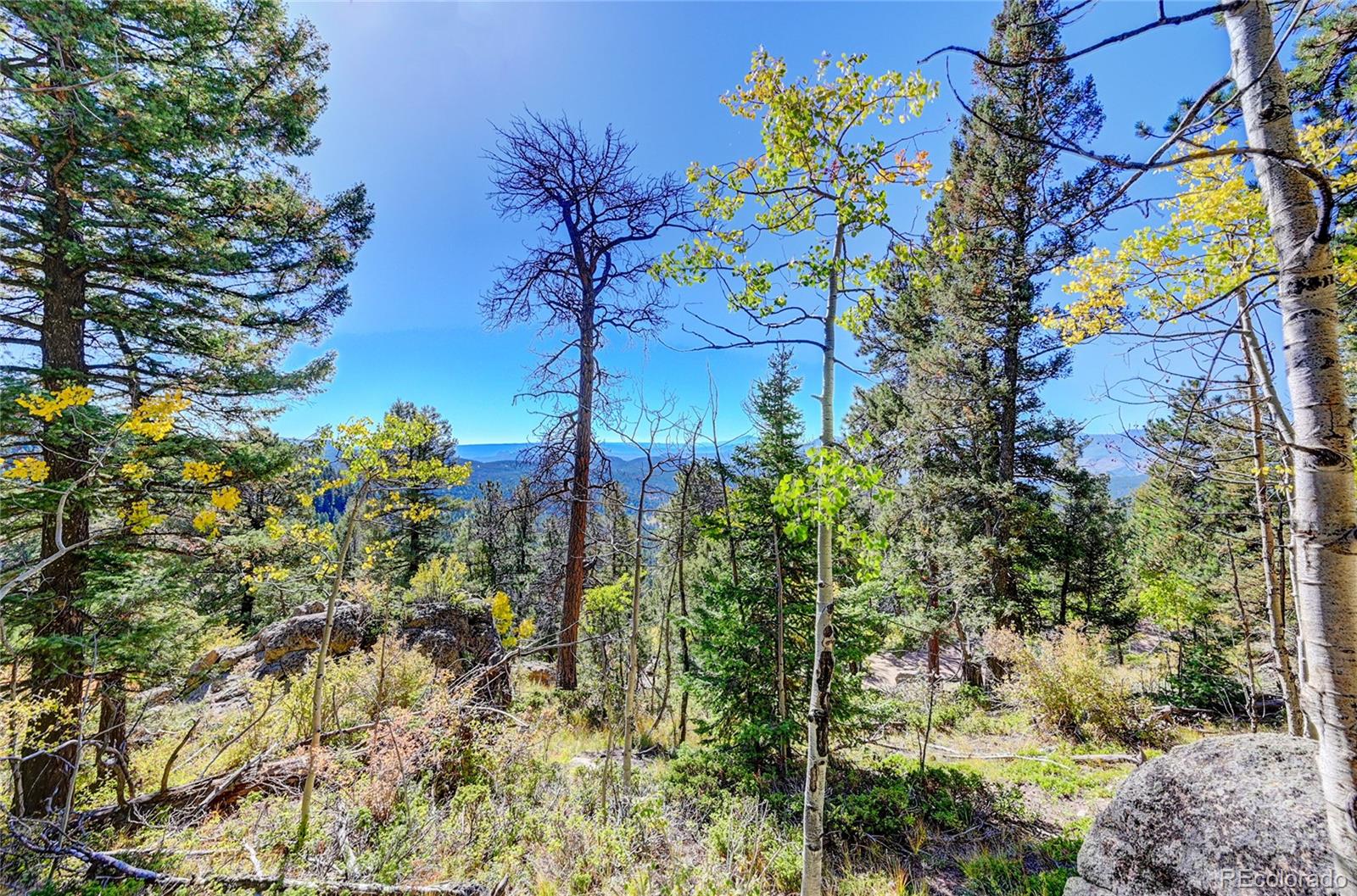 11723 Braun Way Conifer CO 80433