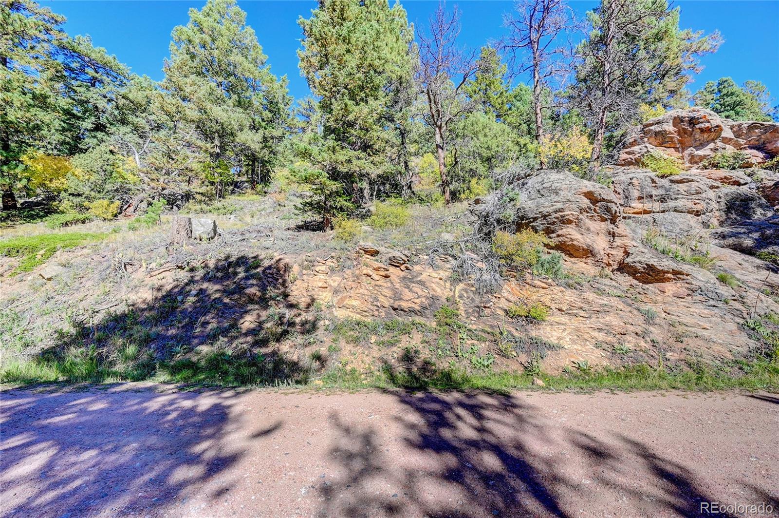 11723 Braun Way Conifer CO 80433