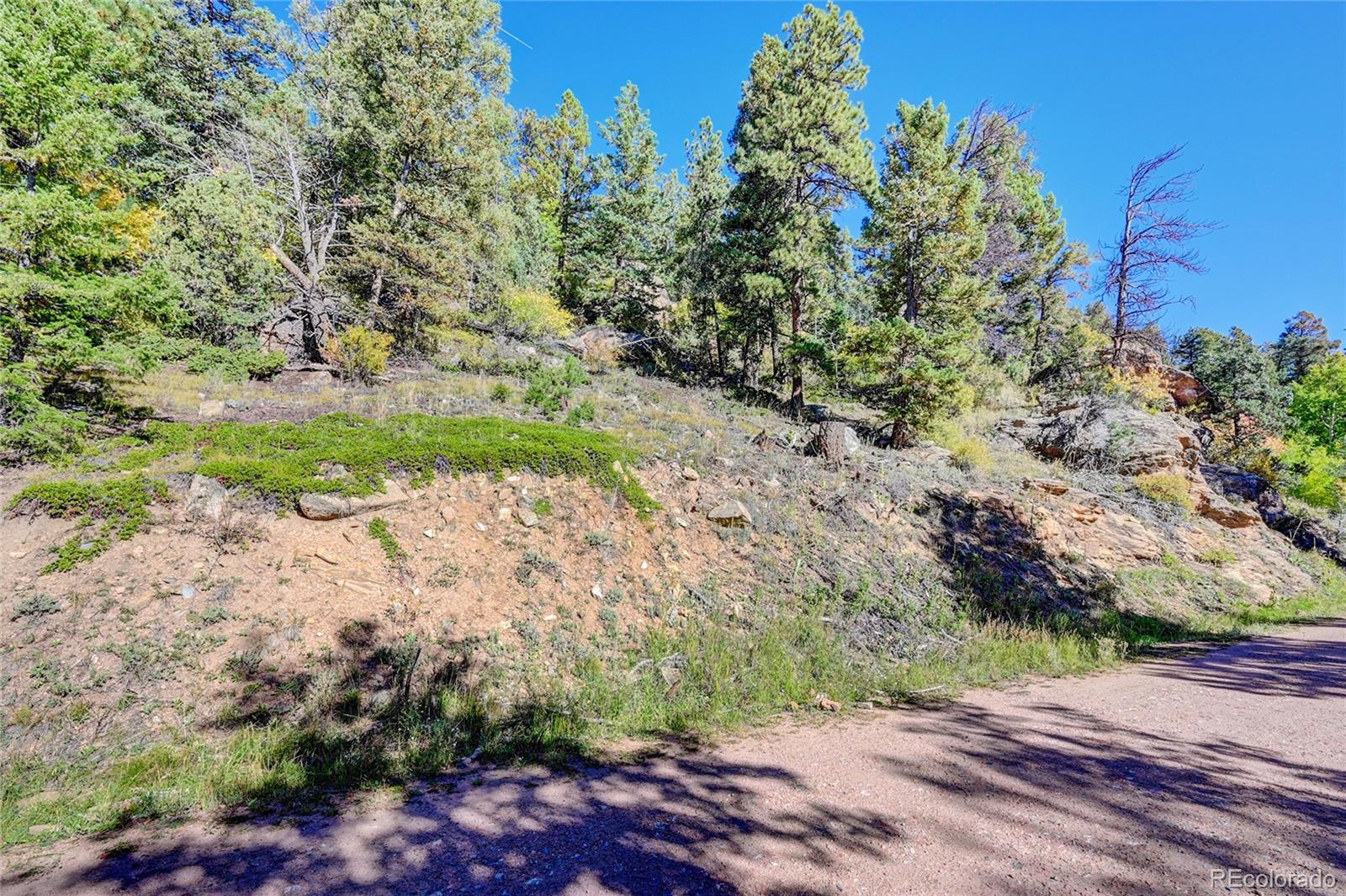11723 Braun Way Conifer CO 80433