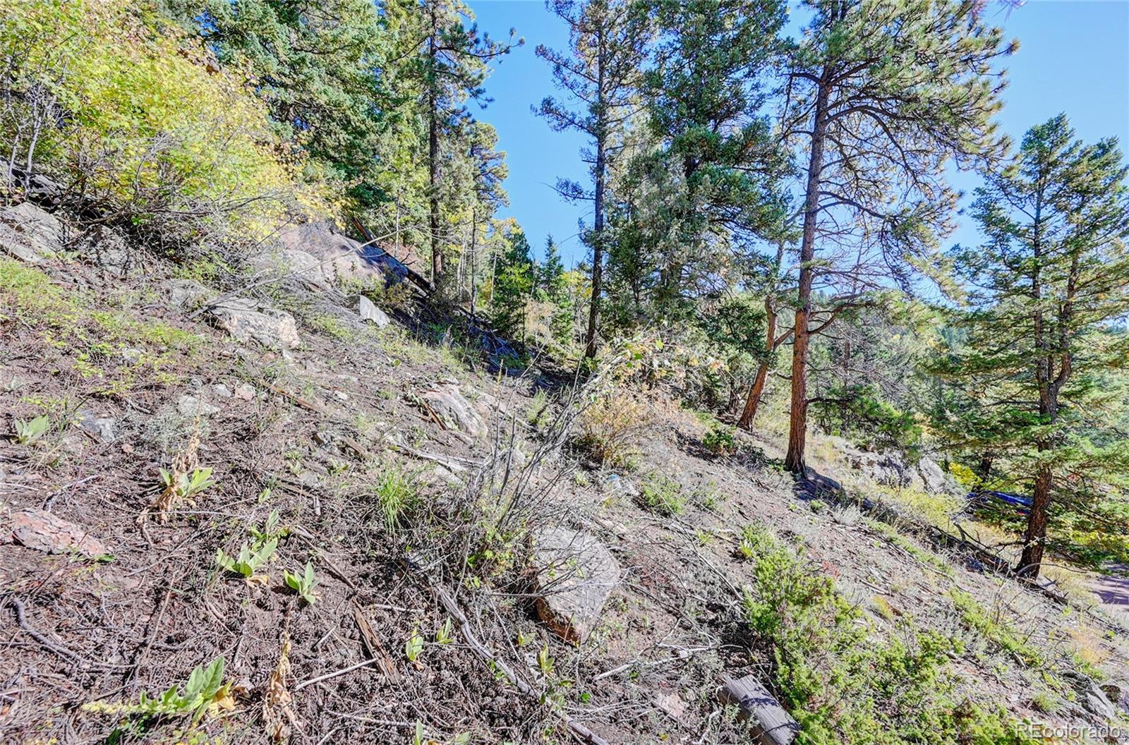 11723 Braun Way Conifer CO 80433