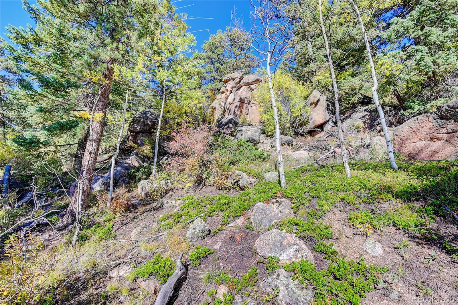 11723 Braun Way Conifer CO 80433