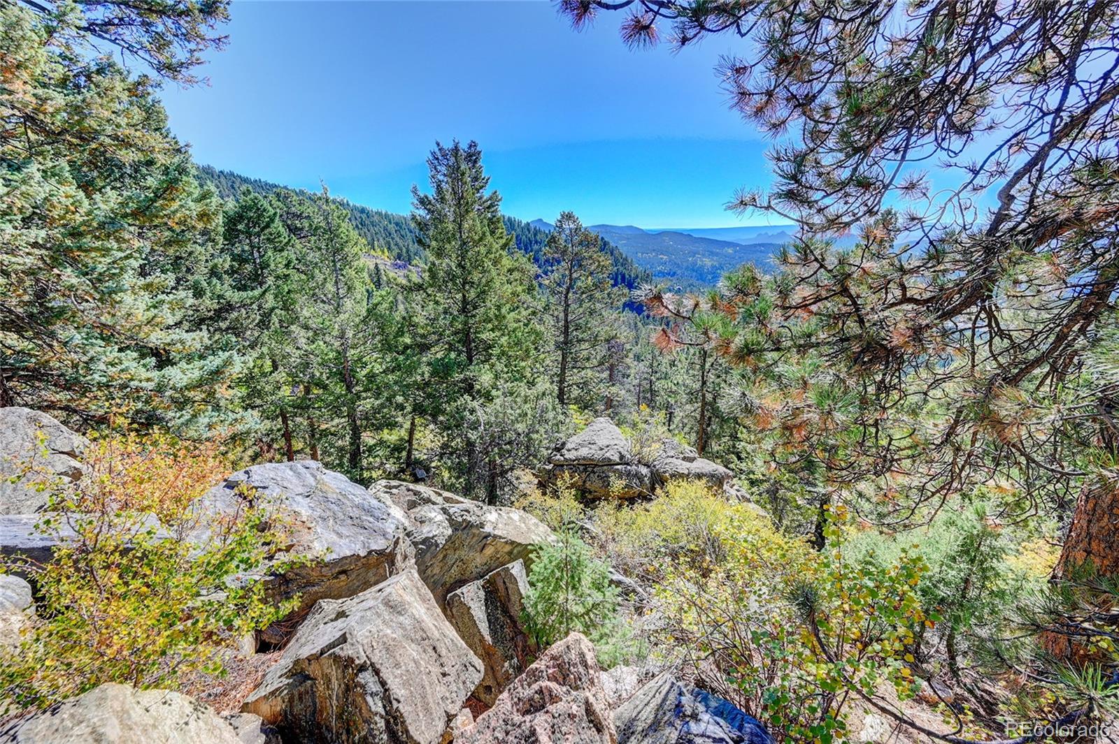 11723 Braun Way Conifer CO 80433