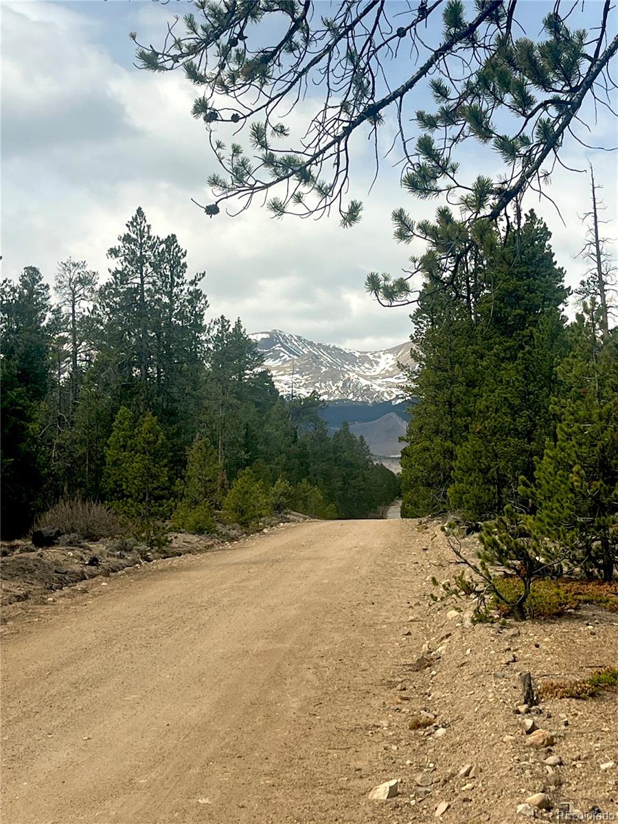 105 Fir Drive Leadville CO 80461