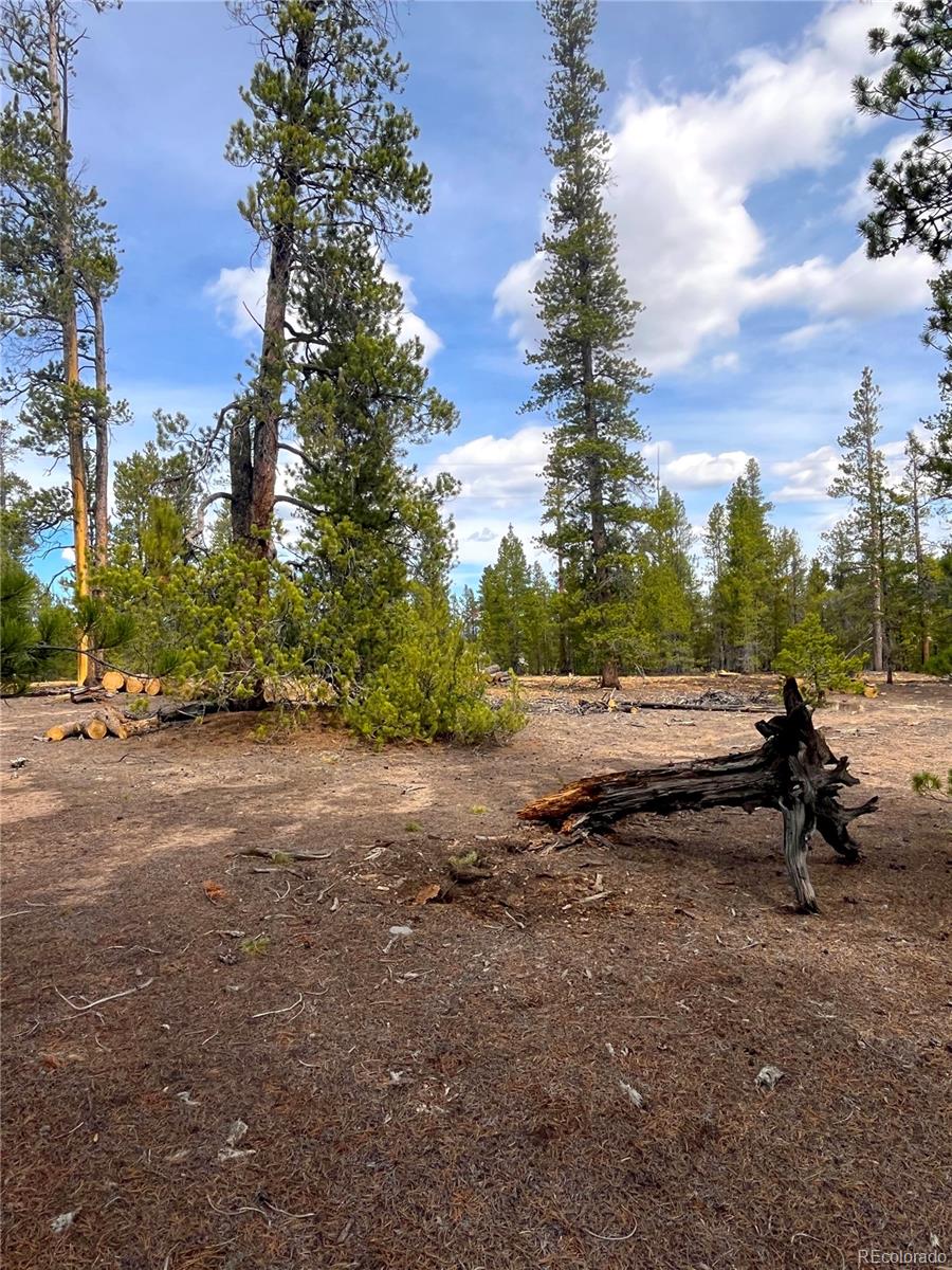 105 Fir Drive Leadville CO 80461