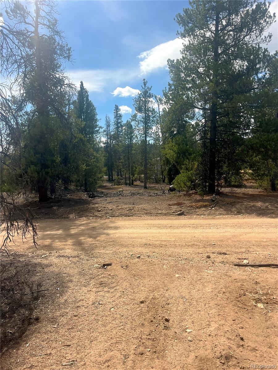 105 Fir Drive Leadville CO 80461