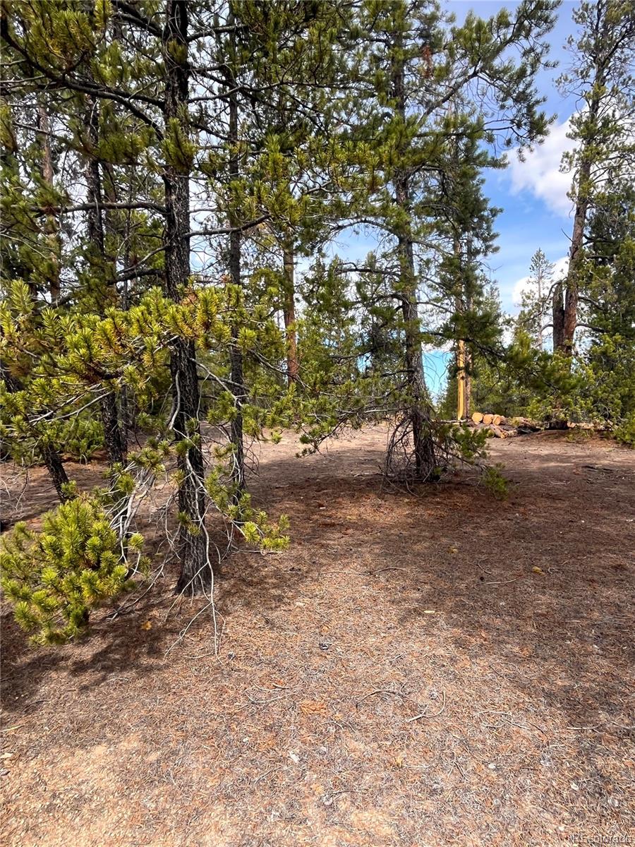 105 Fir Drive Leadville CO 80461