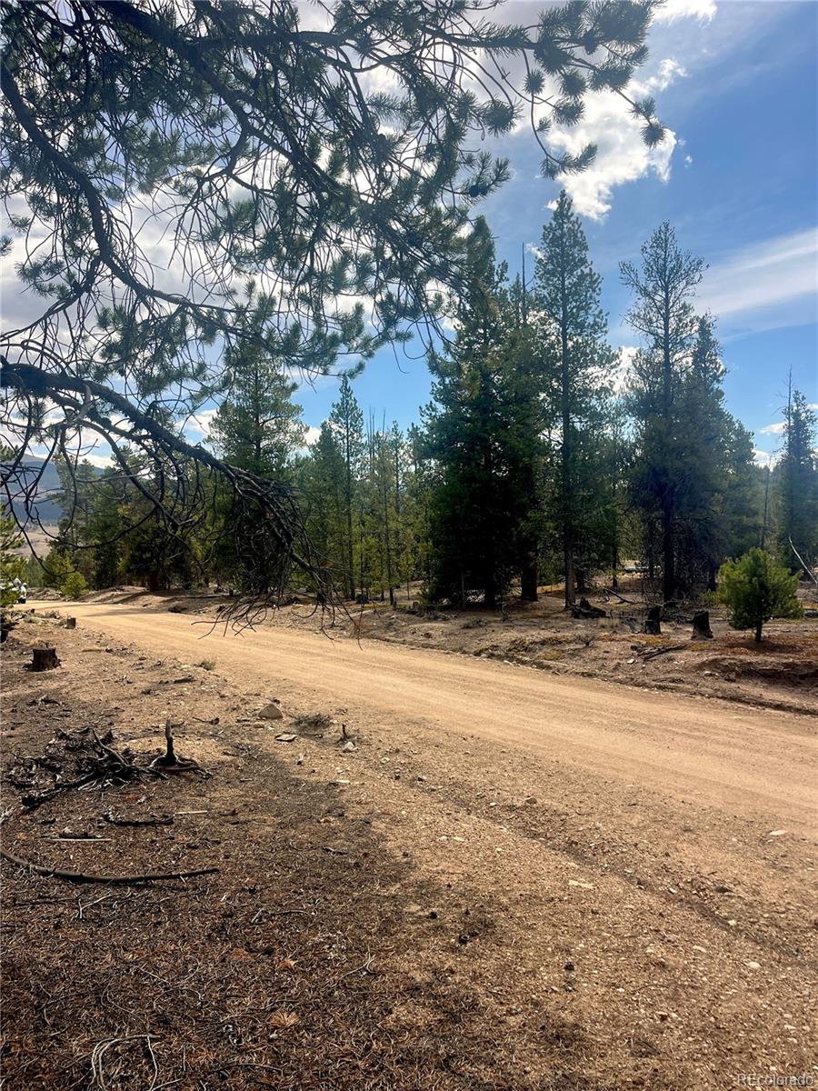 105 Fir Drive Leadville CO 80461