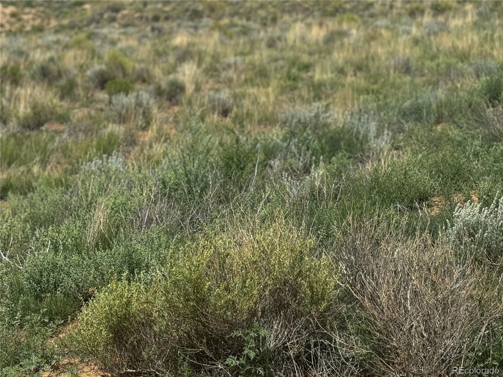 Lot 18 Frontera Road San Luis CO 81152