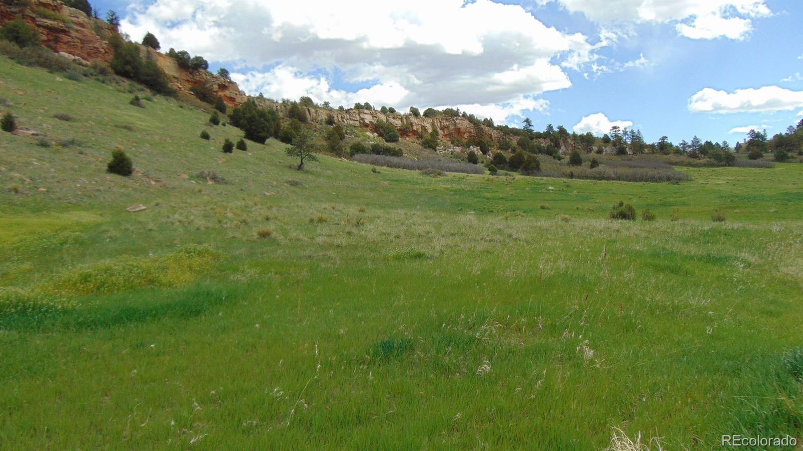 0000 Echo Valley Road Larkspur CO 80118