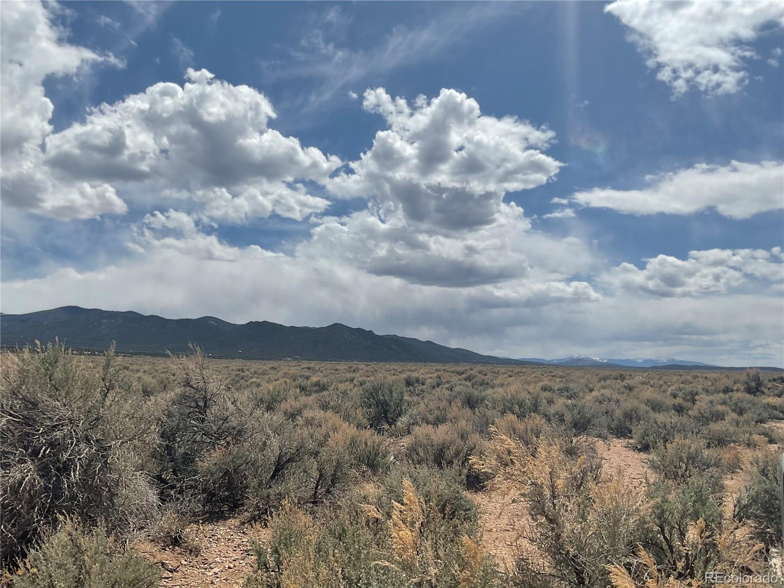 Lot 105 Schlitz Road Fort Garland CO 81133