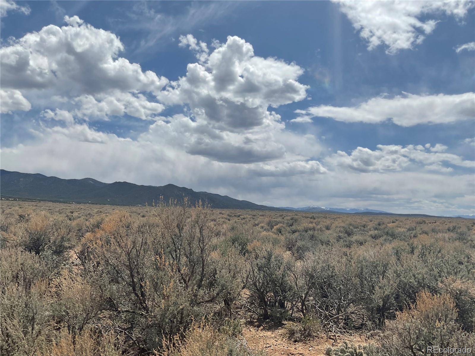 Lot 105 Schlitz Road Fort Garland CO 81133