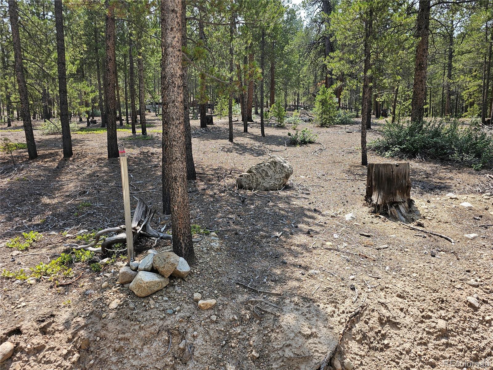 426 Sequoia Drive Twin Lakes CO 81251