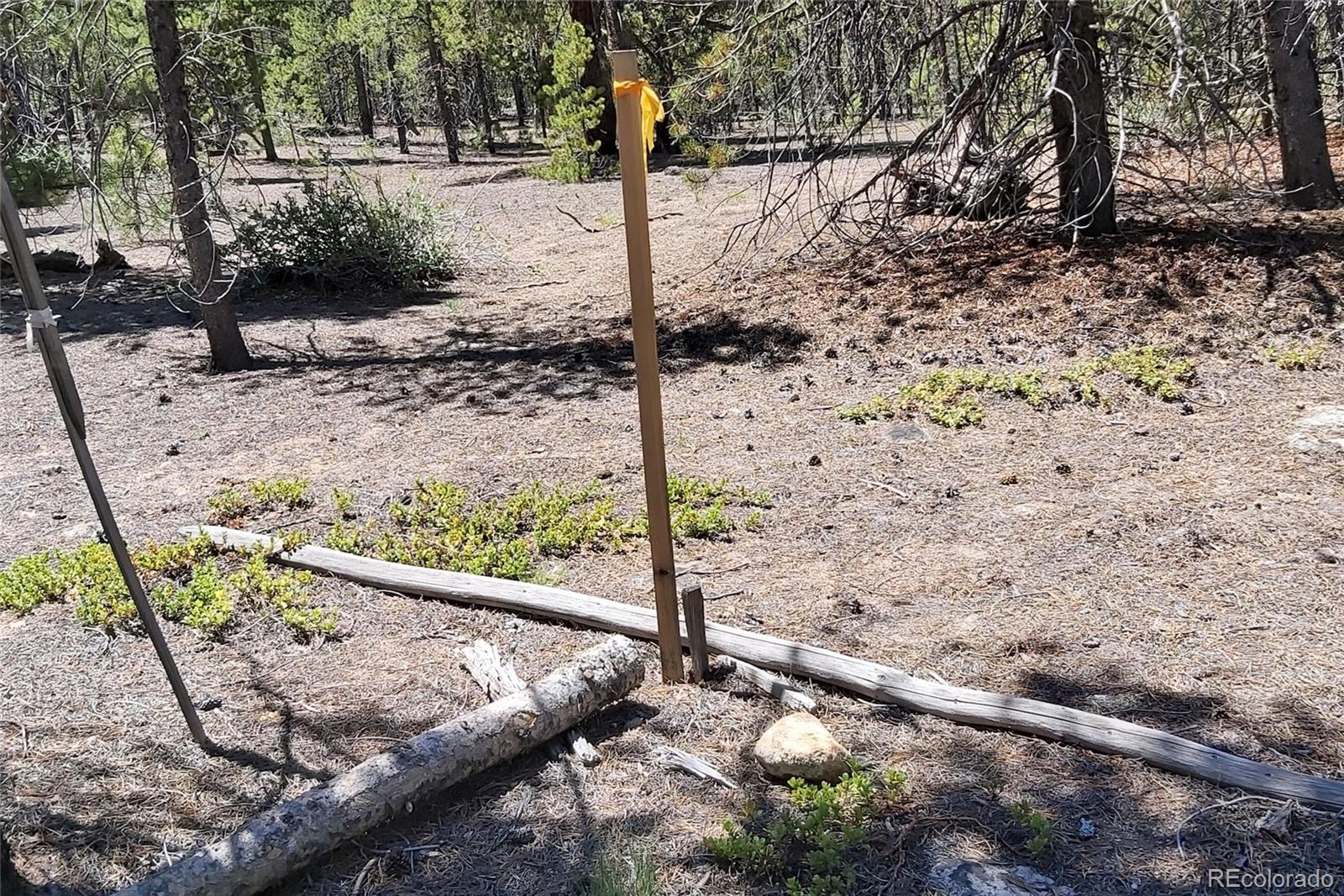 426 Sequoia Drive Twin Lakes CO 81251