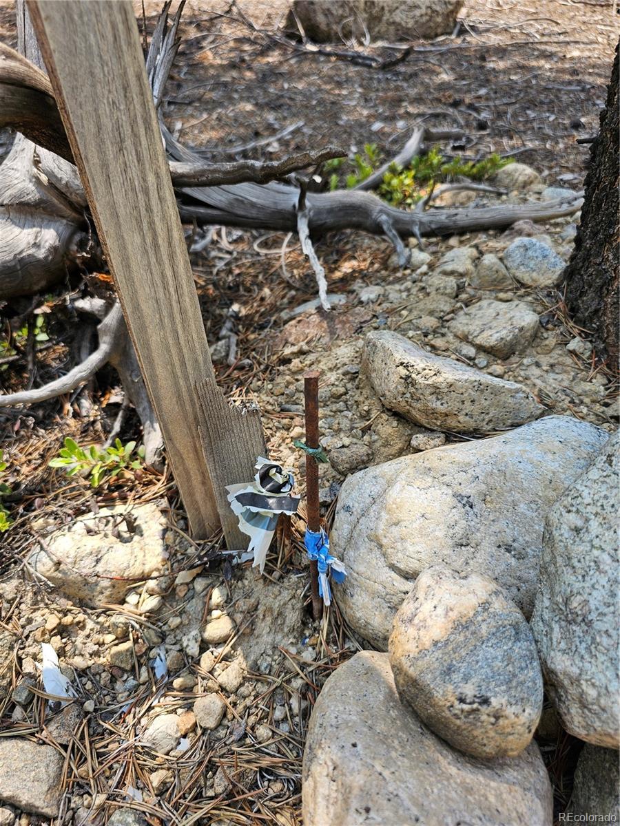 426 Sequoia Drive Twin Lakes CO 81251