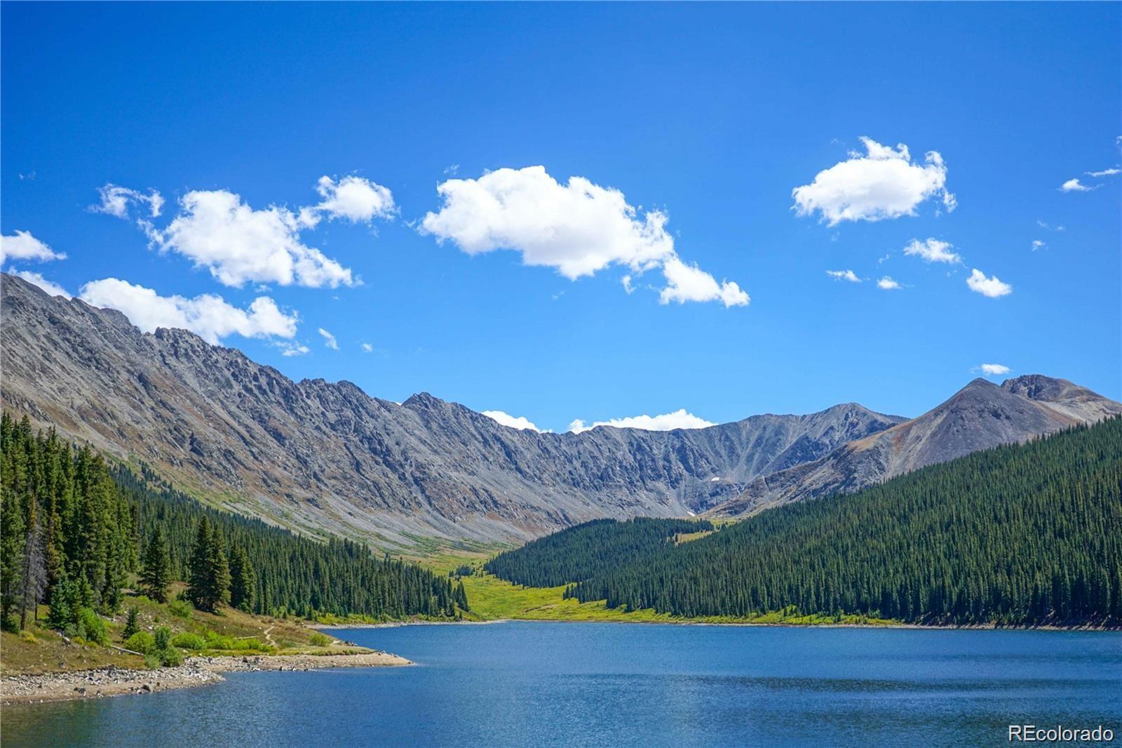 426 Sequoia Drive Twin Lakes CO 81251