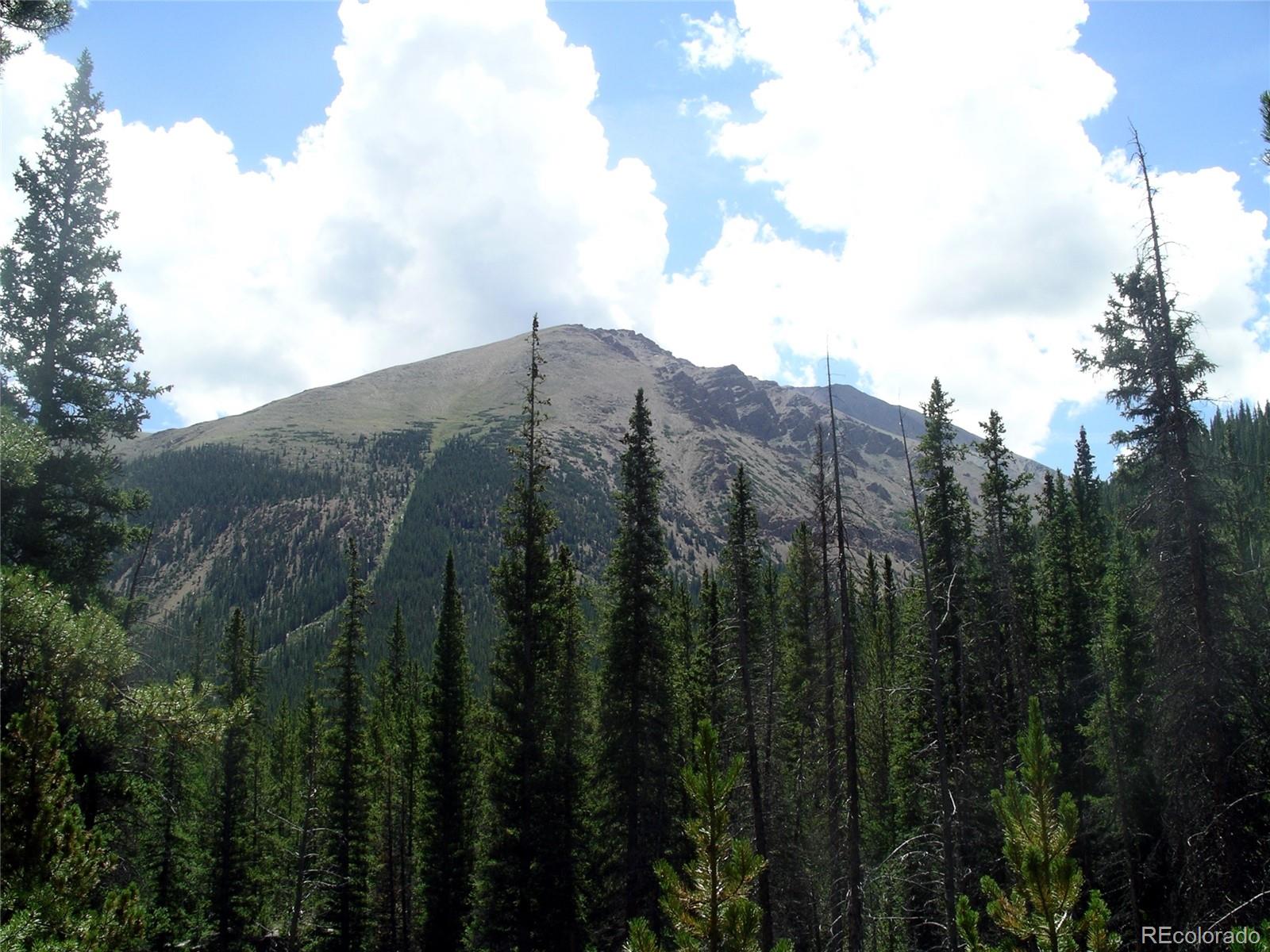 426 Sequoia Drive Twin Lakes CO 81251