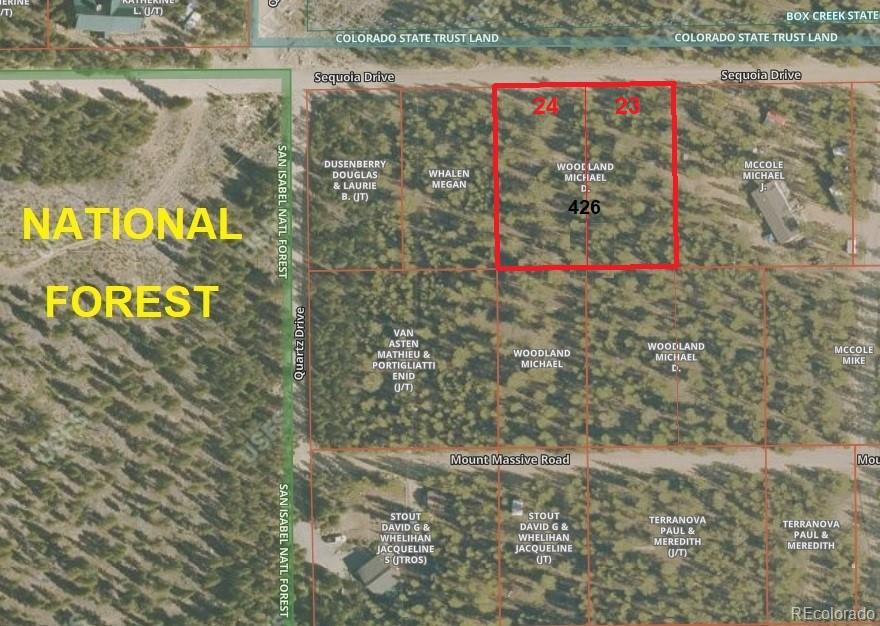 426 Sequoia Drive Twin Lakes CO 81251