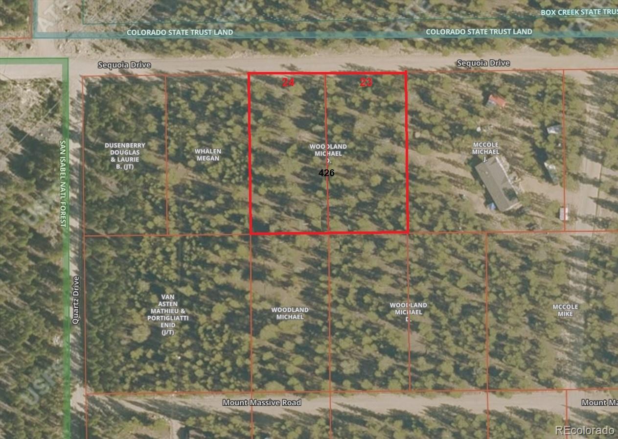 426 Sequoia Drive Twin Lakes CO 81251