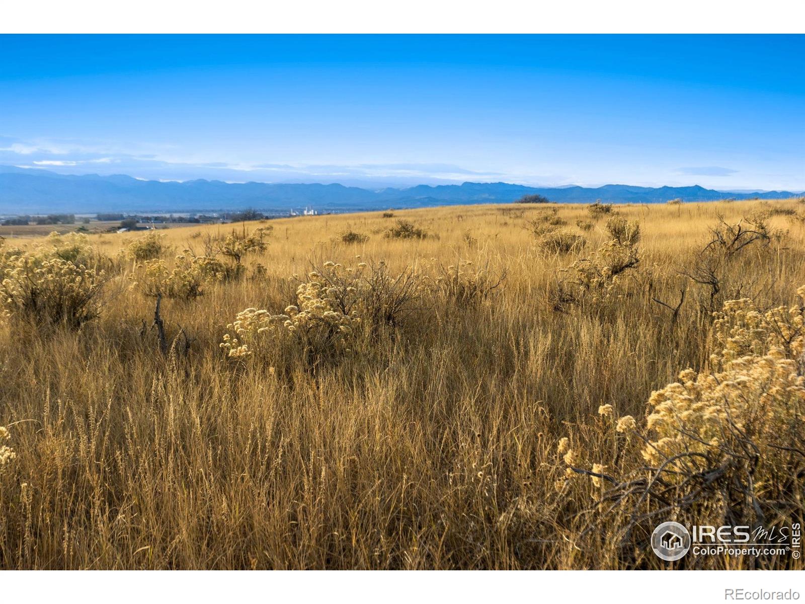7895 County Road 84 Fort Collins CO 80524