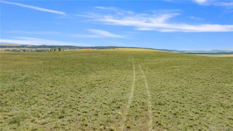 1760 Meier Ridge Trail Fairplay CO 80440
