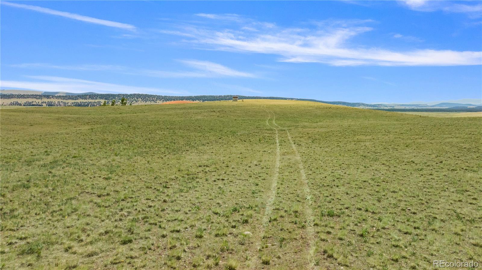 1760 Meier Ridge Trail Fairplay CO 80440
