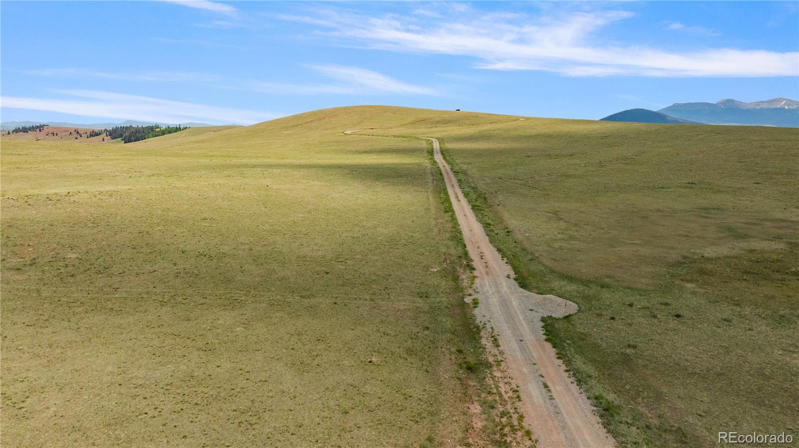 1760 Meier Ridge Trail Fairplay CO 80440