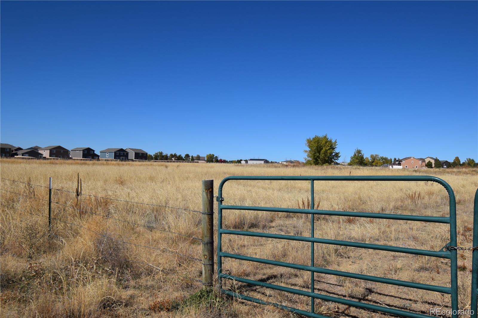 Bent Grass Meadows Drive Peyton CO 80831