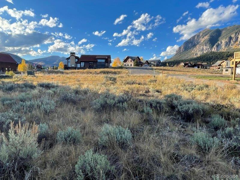 84 Chestnut Lane Crested Butte CO 81224