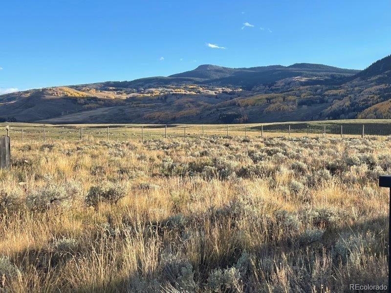 84 Chestnut Lane Crested Butte CO 81224