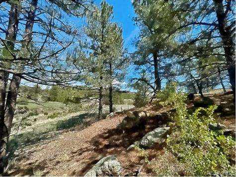7080 Copper Gulch Road Cotopaxi CO 81223