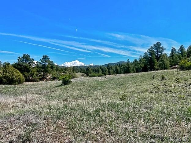 7080 Copper Gulch Road Cotopaxi CO 81223