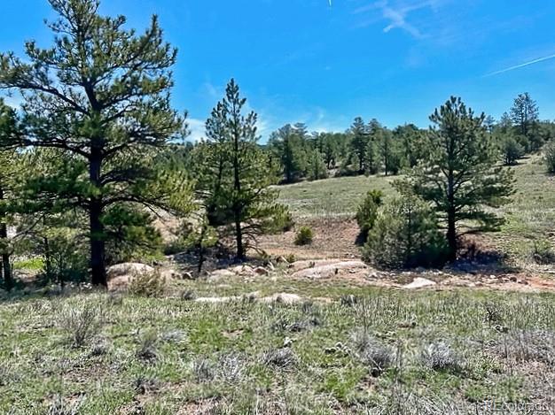 7080 Copper Gulch Road Cotopaxi CO 81223