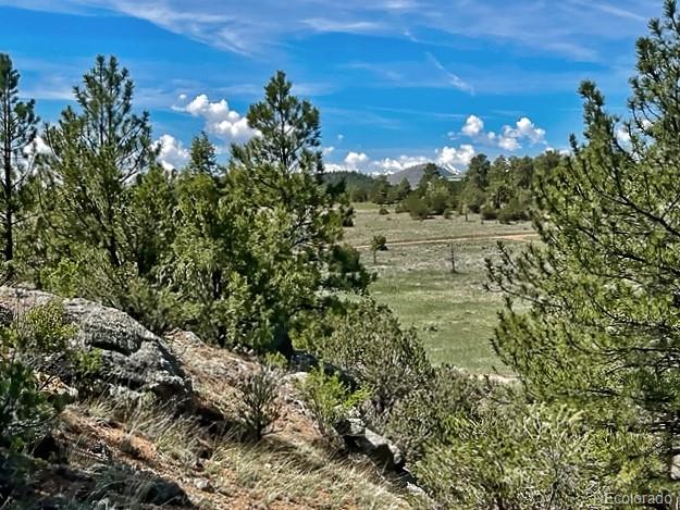 7080 Copper Gulch Road Cotopaxi CO 81223