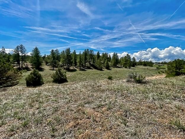 7080 Copper Gulch Road Cotopaxi CO 81223