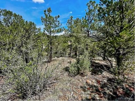 7080 Copper Gulch Road Cotopaxi CO 81223