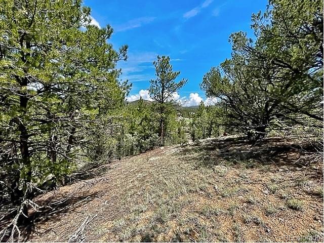 7080 Copper Gulch Road Cotopaxi CO 81223