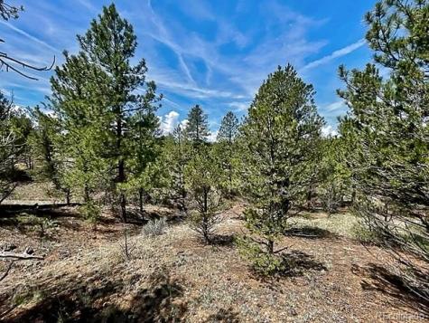 7080 Copper Gulch Road Cotopaxi CO 81223