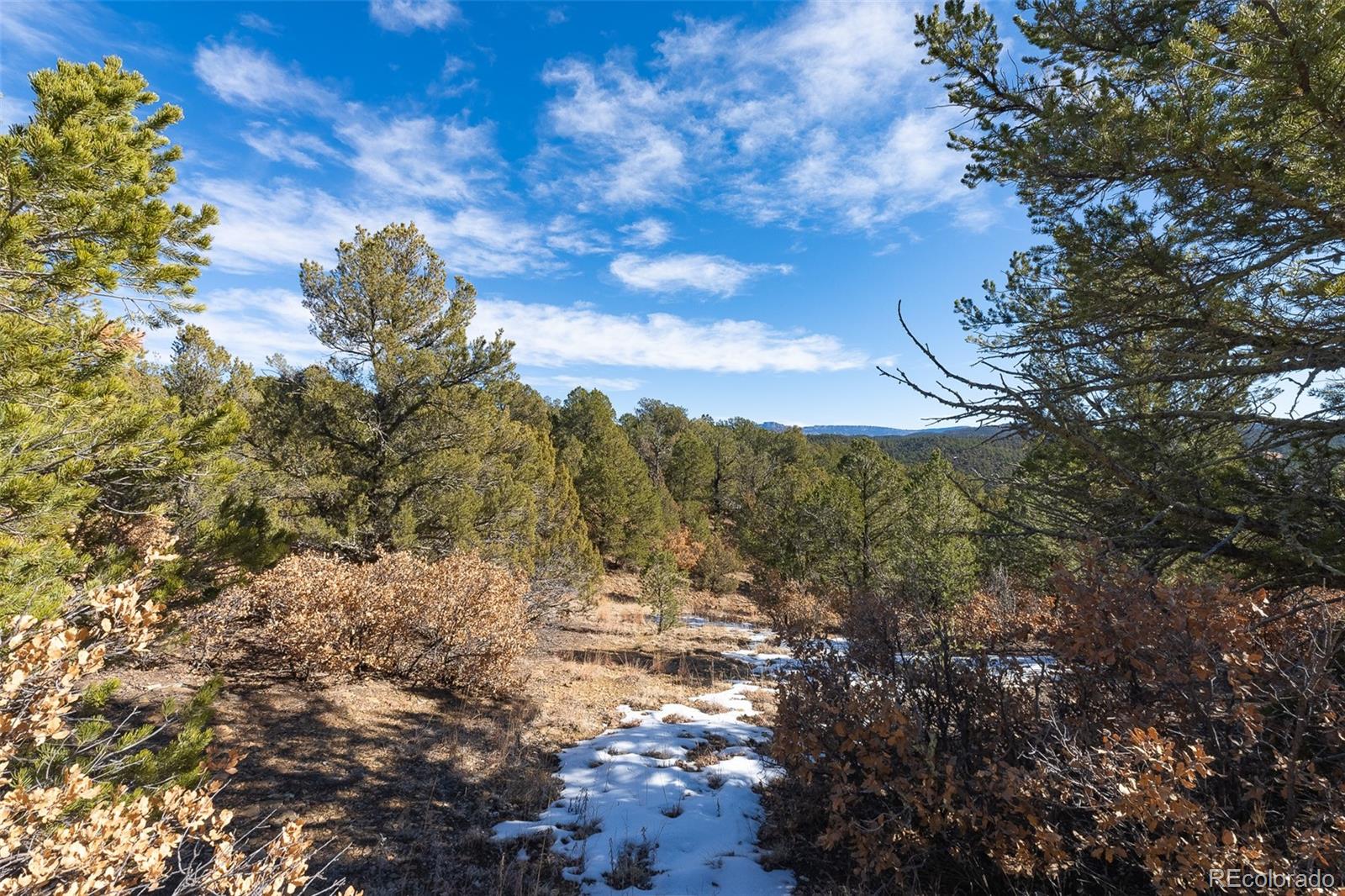 29870 County Road 16 Trinidad CO 81082