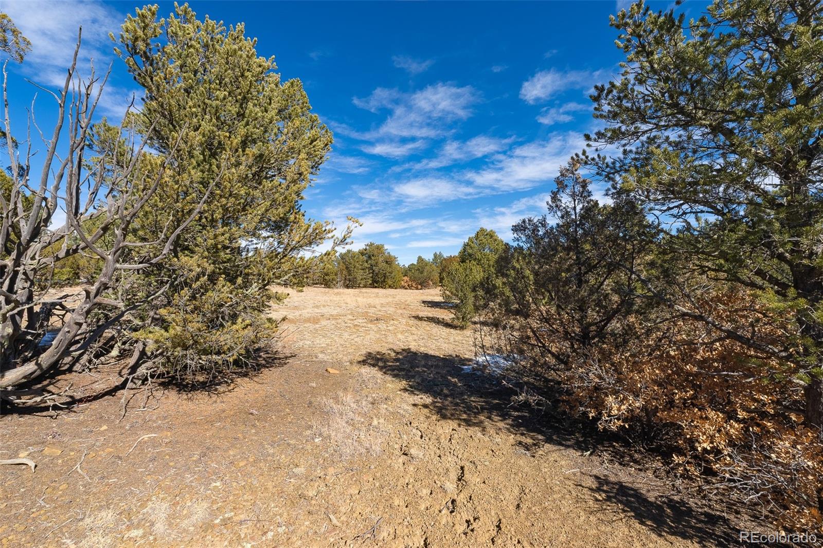 29870 County Road 16 Trinidad CO 81082